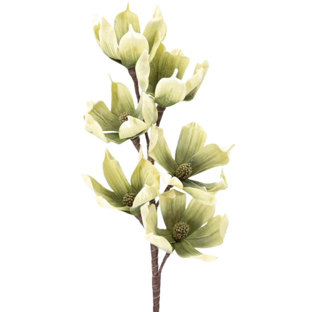 MAGNOLIA SPRAY - Mauro Ferretti