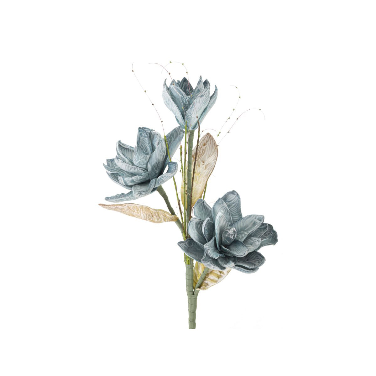 MAGNOLIA BLU 3x BOCCIOLI - Mauro Ferretti