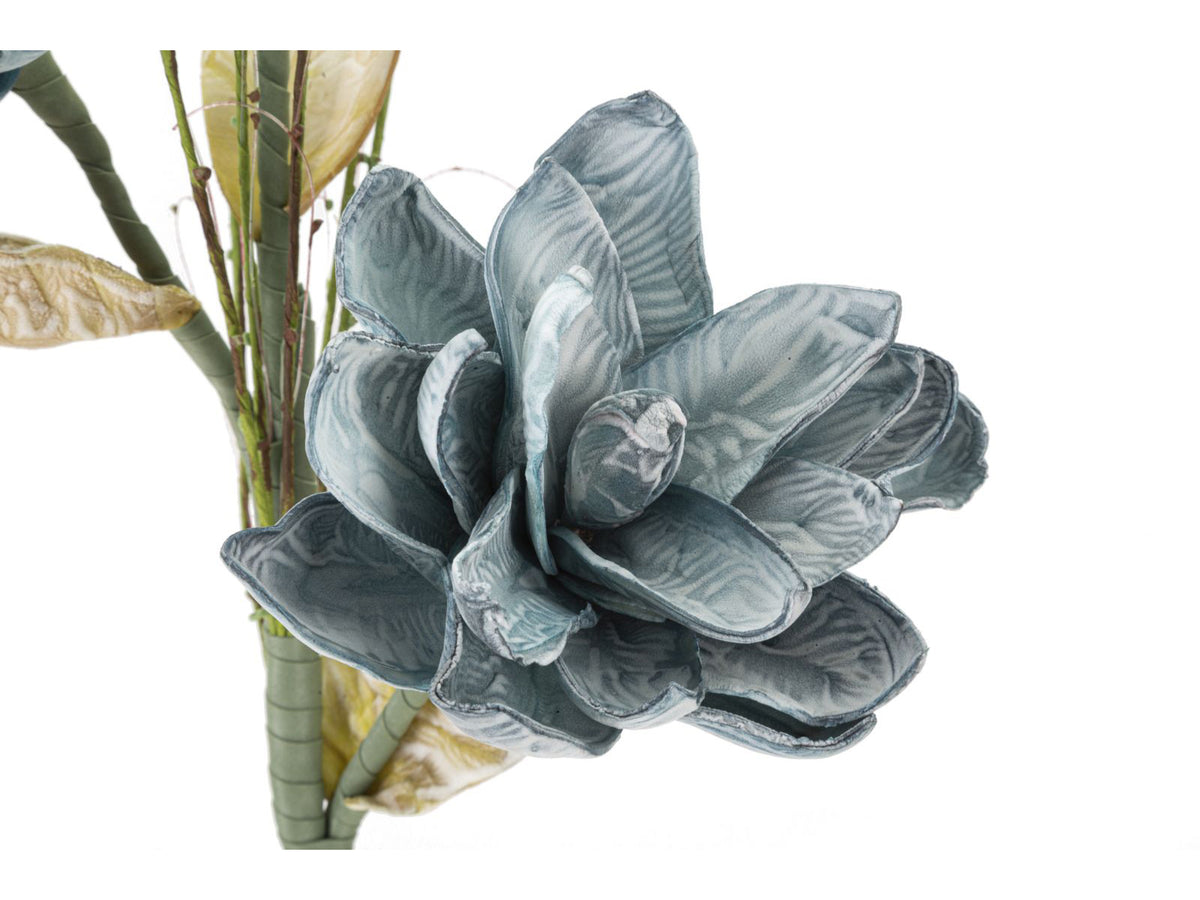 MAGNOLIA BLU 3x BOCCIOLI - Mauro Ferretti