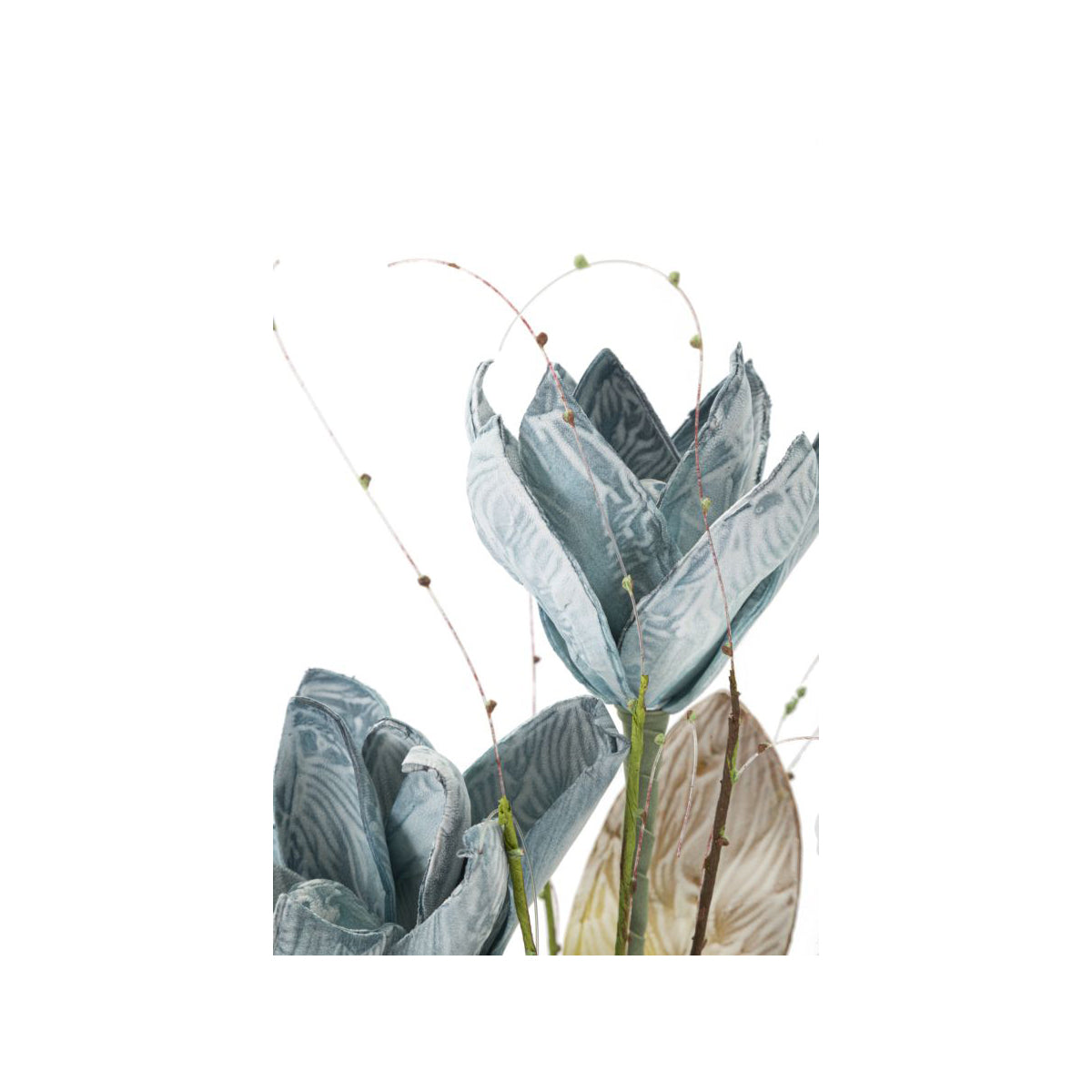 MAGNOLIA BLU 3x BOCCIOLI - Mauro Ferretti