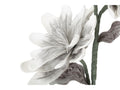 MAGNOLIA FIORE x2 BOCCIOLI - Mauro Ferretti