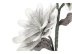 MAGNOLIA FIORE x2 BOCCIOLI - Mauro Ferretti
