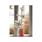 MAGNOLIA FIORE x2 BOCCIOLI - Mauro Ferretti