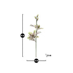 MAGNOLIA FIORE x2 BOCCIOLI - Mauro Ferretti