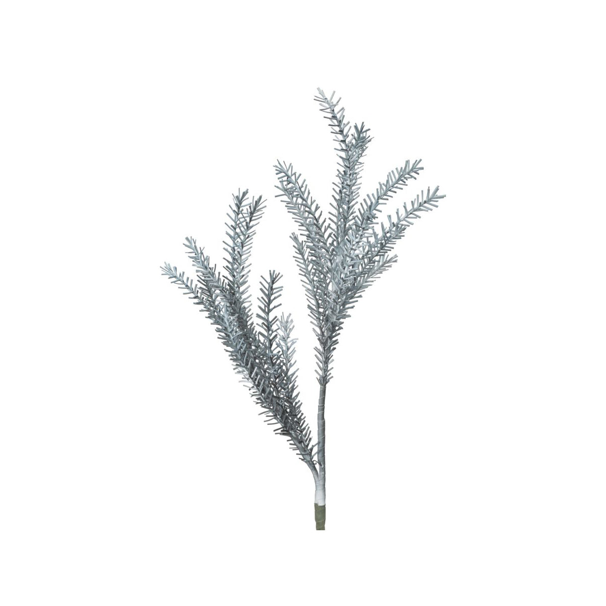 BULRUSH FIORE - Mauro Ferretti