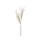 BULRUSH FIORE - Mauro Ferretti