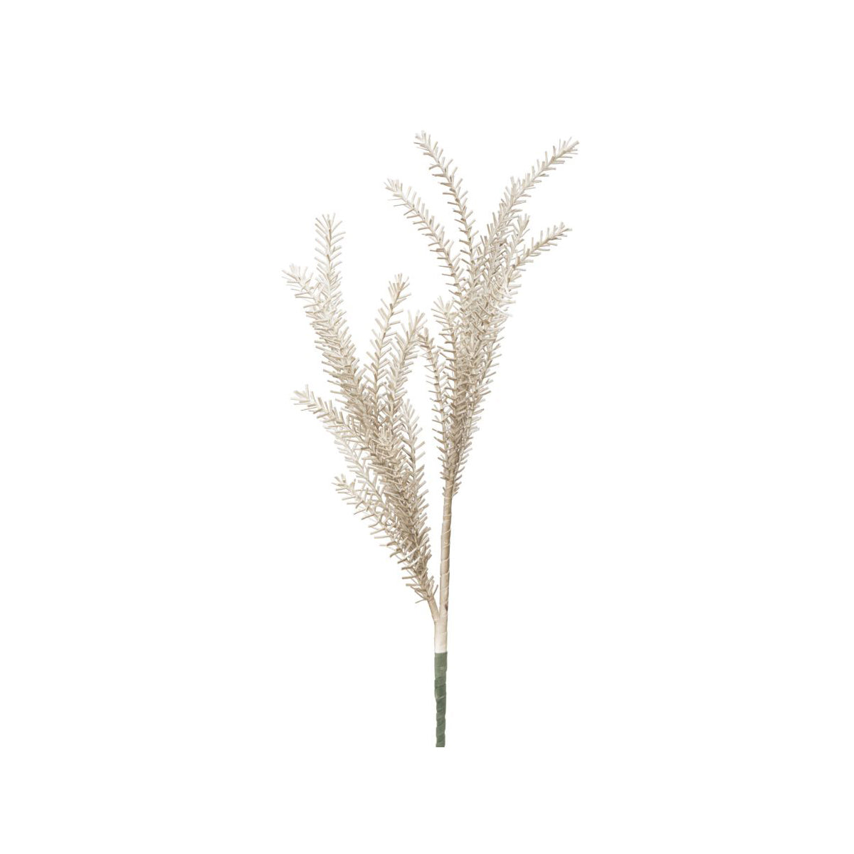 BULRUSH FIORE - Mauro Ferretti