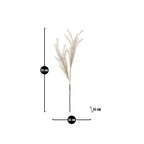 BULRUSH FIORE - Mauro Ferretti