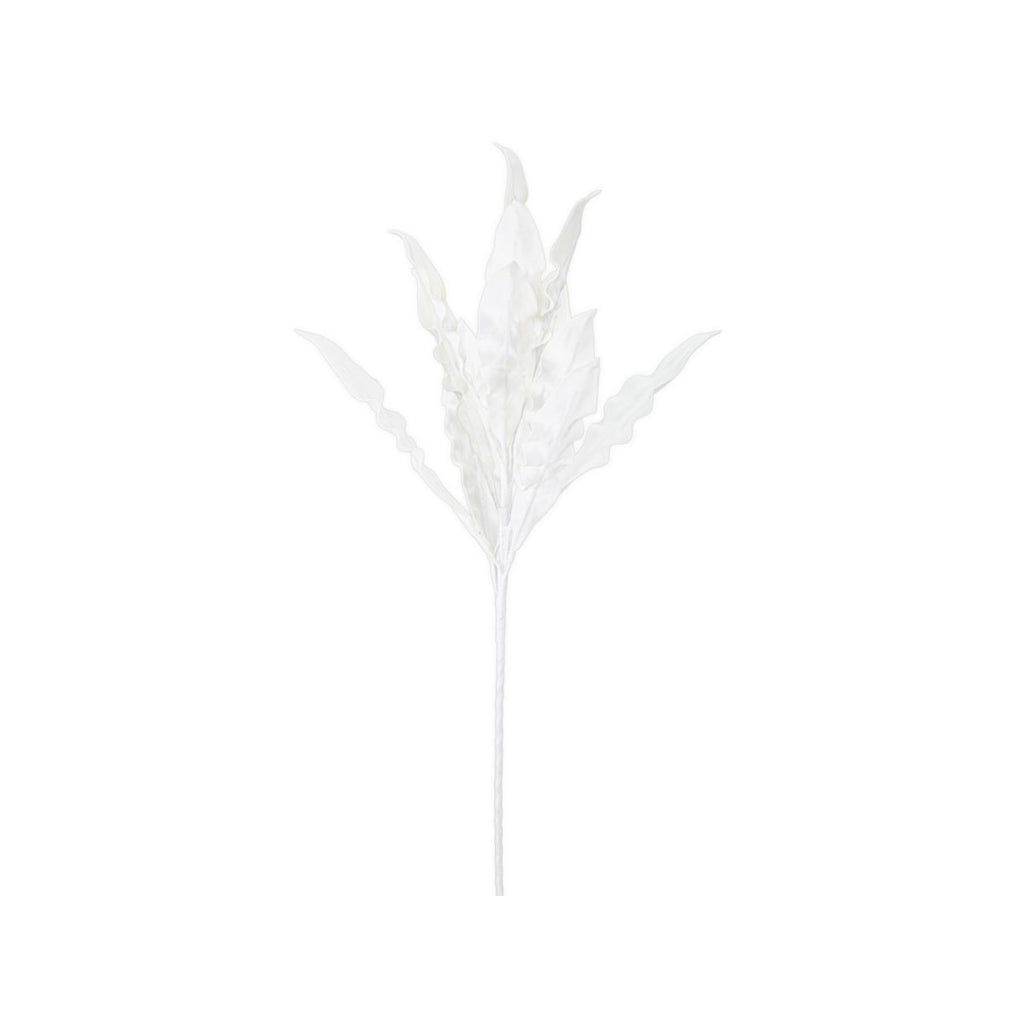 ALOE - Mauro Ferretti