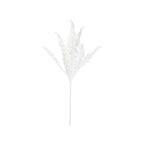 ALOE - Mauro Ferretti