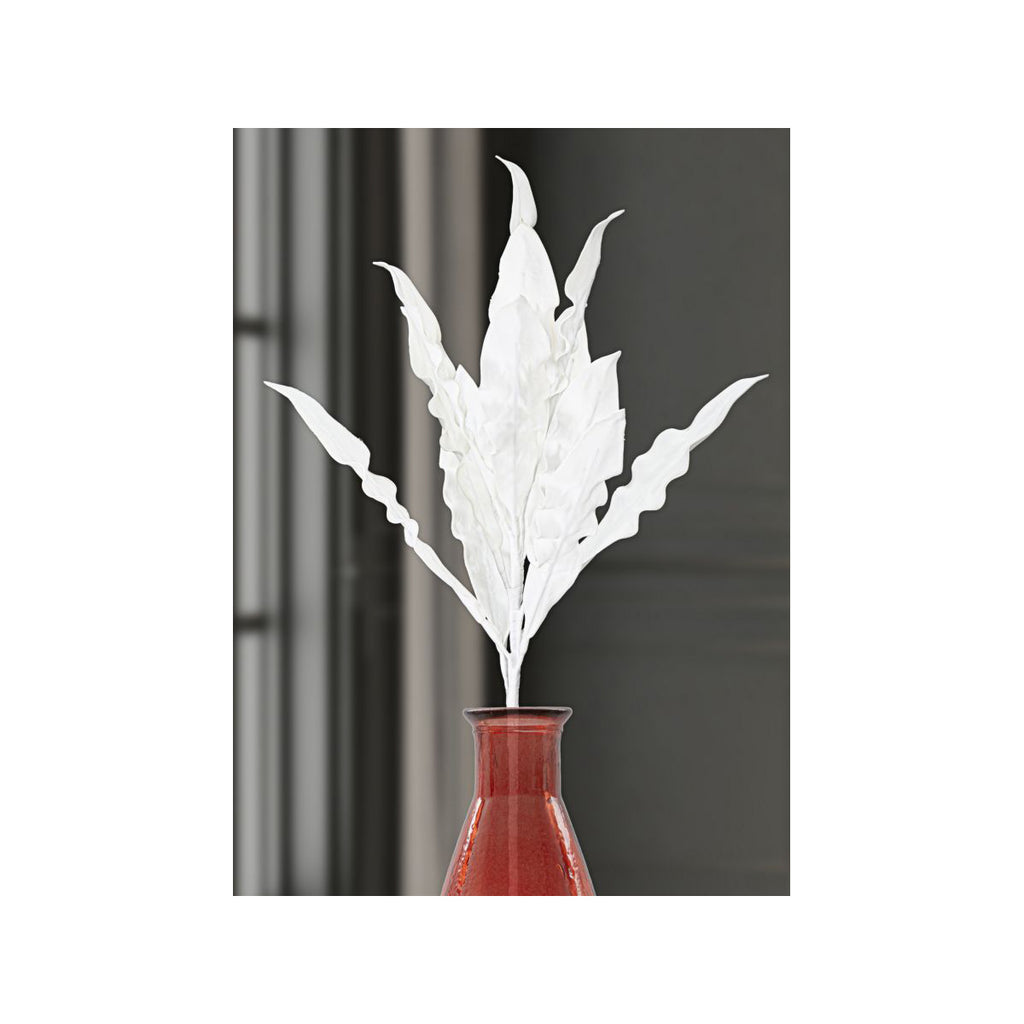 ALOE - Mauro Ferretti