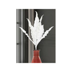 ALOE - Mauro Ferretti