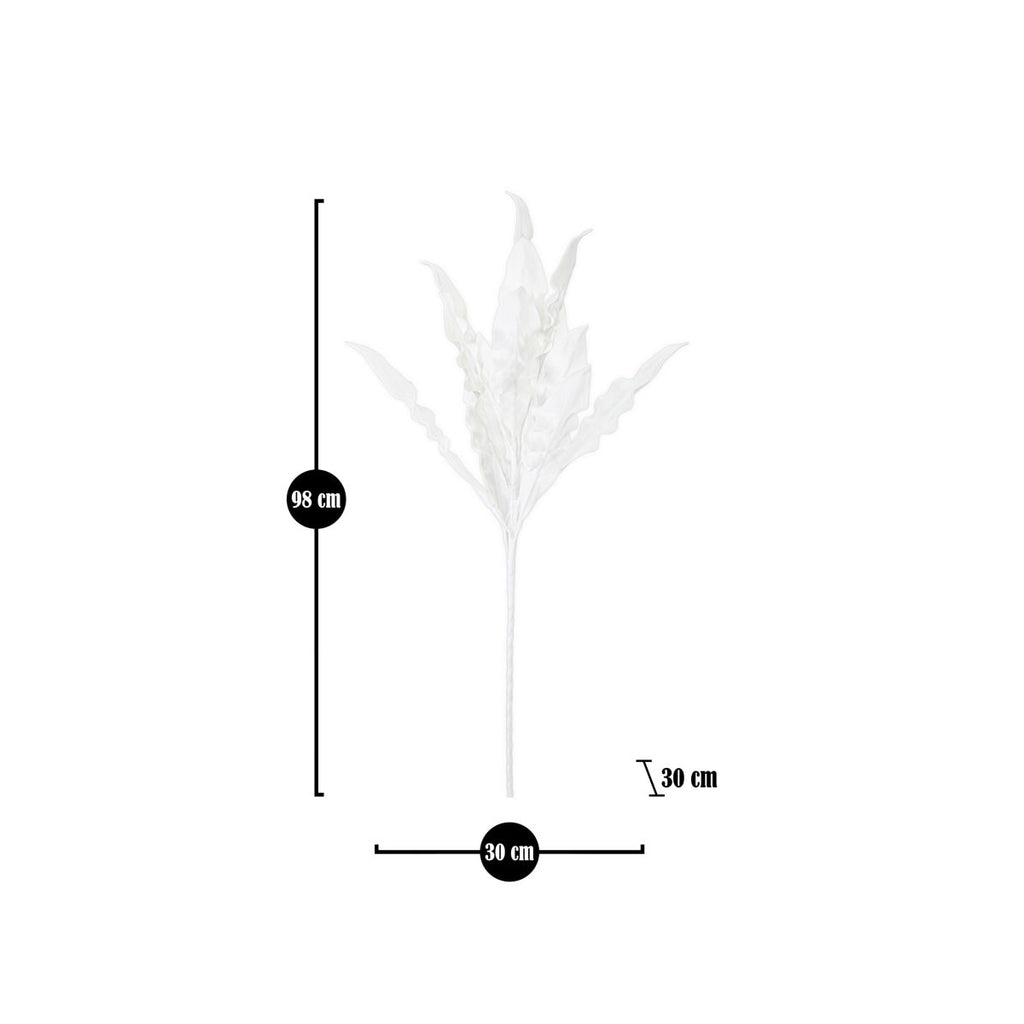ALOE - Mauro Ferretti