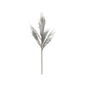 ALOE - Mauro Ferretti