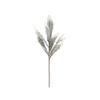 ALOE - Mauro Ferretti