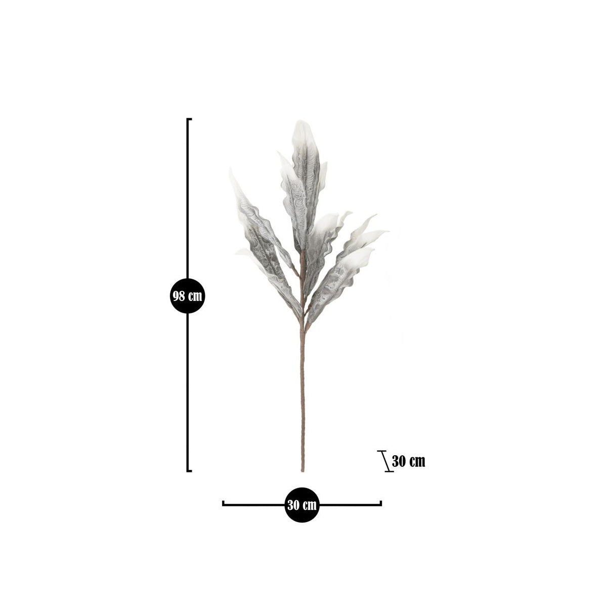 ALOE - Mauro Ferretti