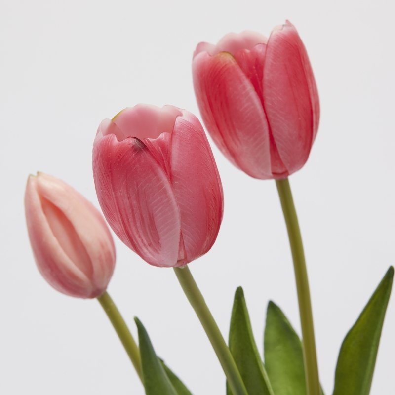 MAZZO TULIPANI FUCSIA CON FOGLIE - EDG Enzo De Gasperi
