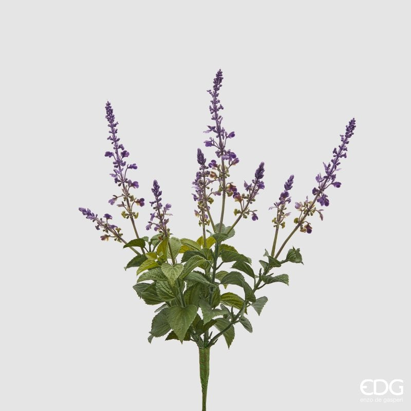 CESPUGLIO LAVANDA CON FOGLIE - EDG Enzo De Gasperi