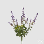 CESPUGLIO LAVANDA CON FOGLIE - EDG Enzo De Gasperi