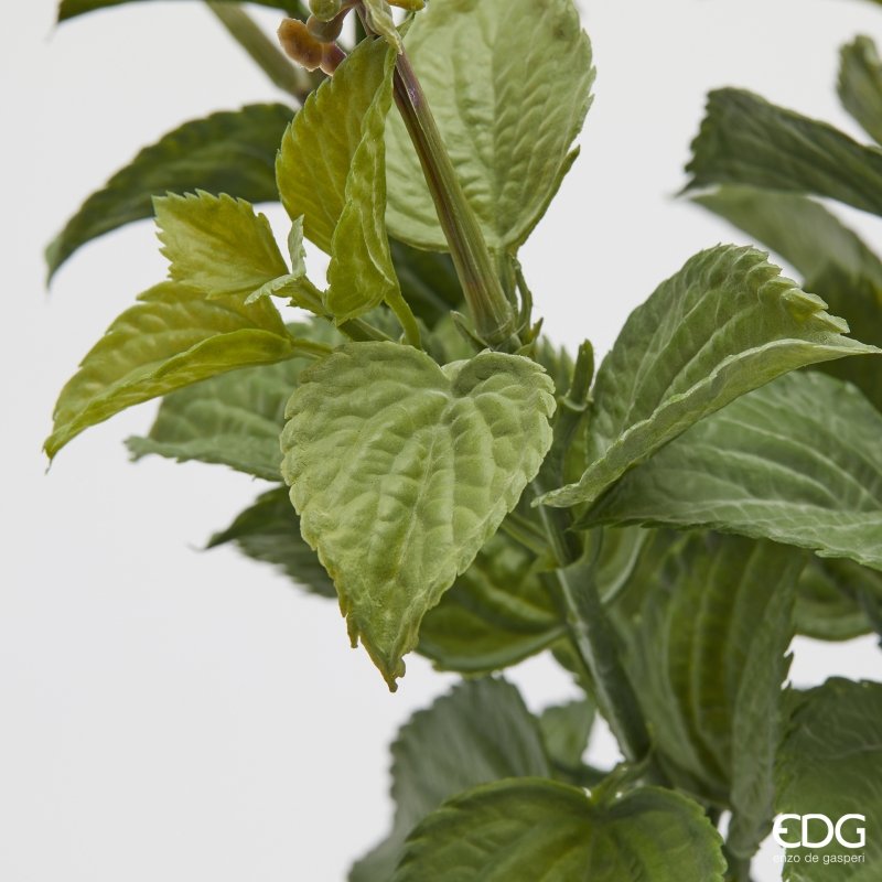 CESPUGLIO LAVANDA CON FOGLIE - EDG Enzo De Gasperi