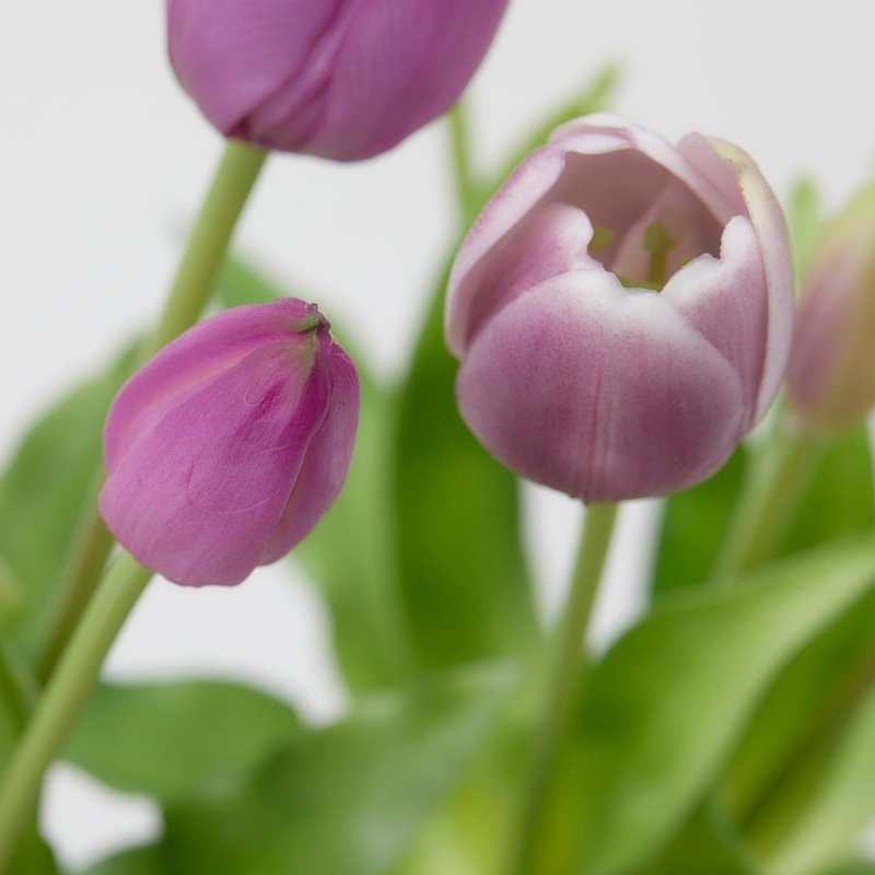 BOUQUET TULIPANI VIOLA - EDG Enzo De Gasperi