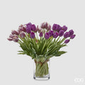 BOUQUET TULIPANI VIOLA - EDG Enzo De Gasperi