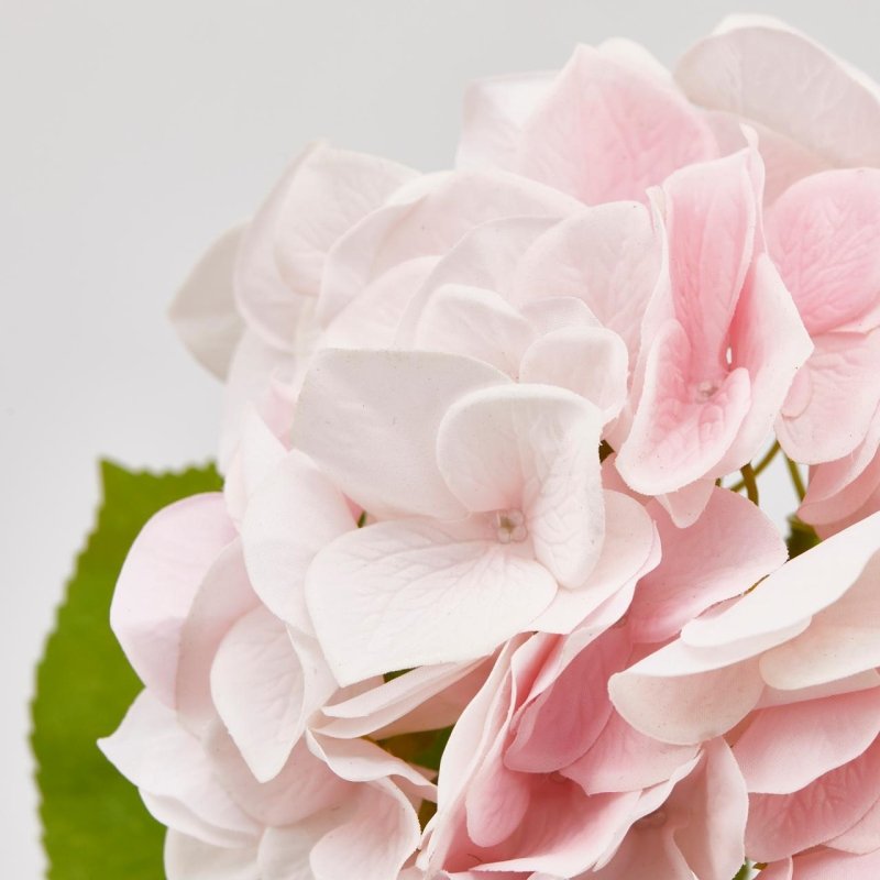 ORTENSIA REAL TOUCH ROSA PASTELLO - EDG Enzo De Gasperi