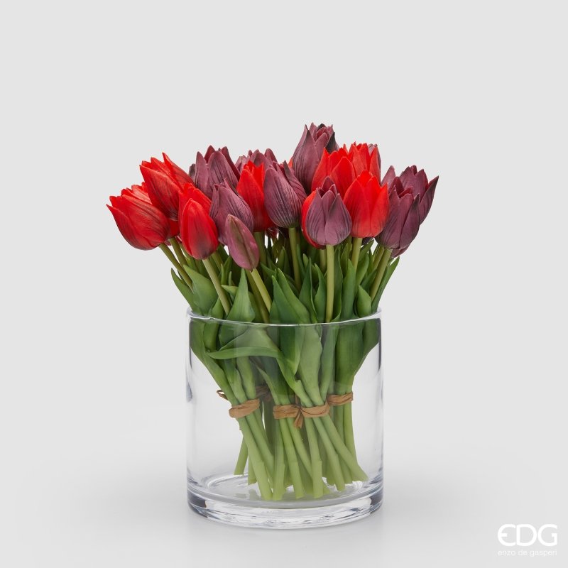 TULIPANI OLIS VIOLA/ROSA - EDG Enzo De Gasperi