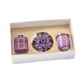 BOX REGALO ORCHIDEA PRUGNA - Melaverde