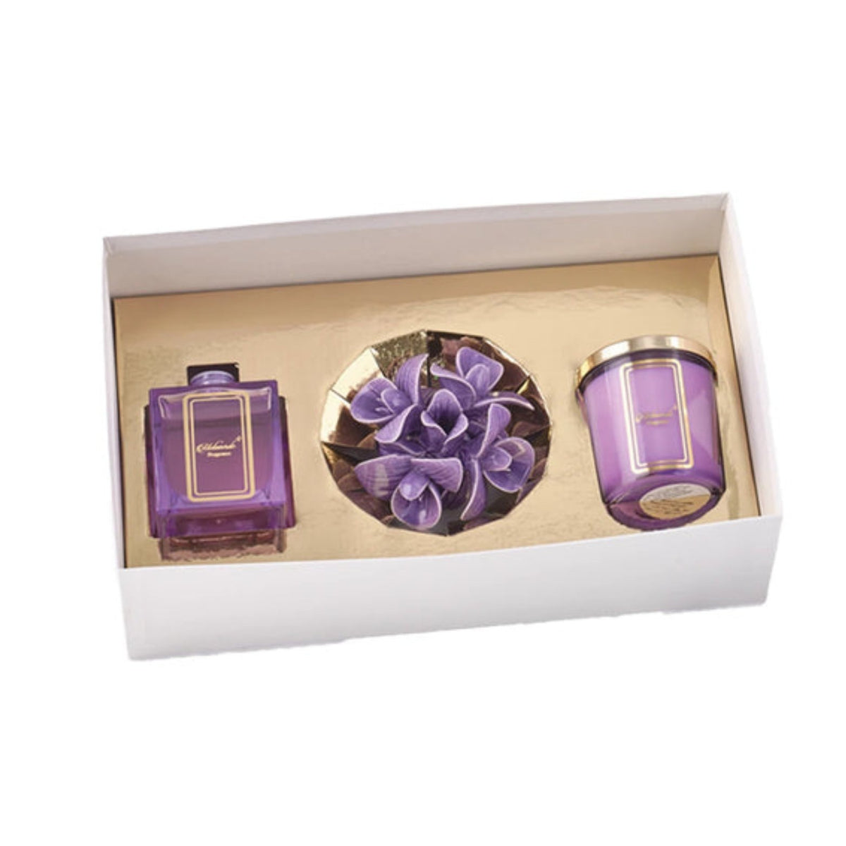 BOX REGALO ORCHIDEA PRUGNA - Melaverde