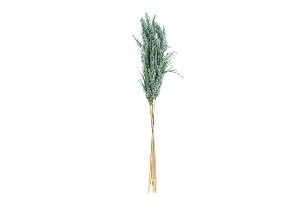 SET 6 PEZZI PAMPAS VERDE OTTANIO - Le Stelle