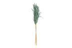 SET 6 PEZZI PAMPAS VERDE OTTANIO - Le Stelle