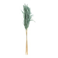 SET 3 PEZZI PAMPAS VERDE OTTANIO - Le Stelle
