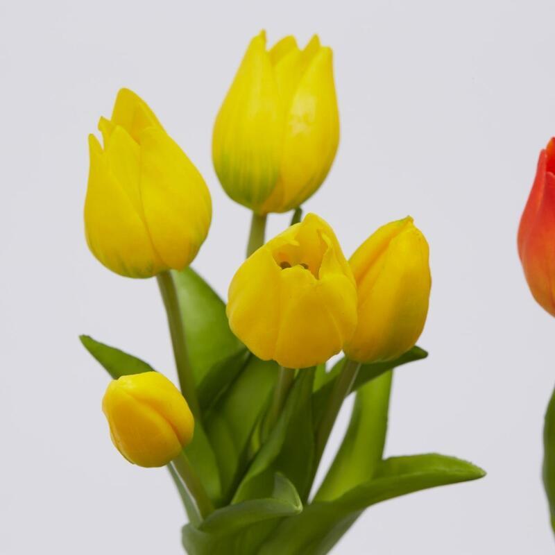 TULIPANI OLIS GIALLO/ARANCIONE - EDG Enzo De Gasperi