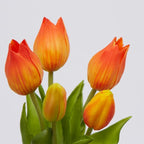 TULIPANI OLIS GIALLO/ARANCIONE - EDG Enzo De Gasperi