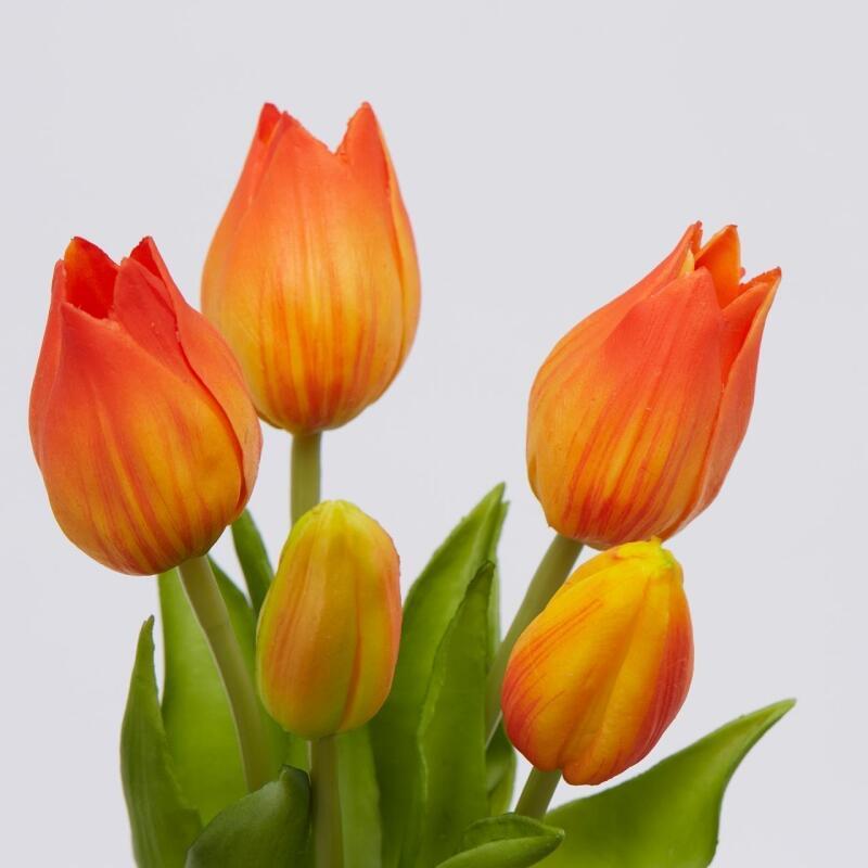 TULIPANI OLIS GIALLO/ARANCIONE - EDG Enzo De Gasperi