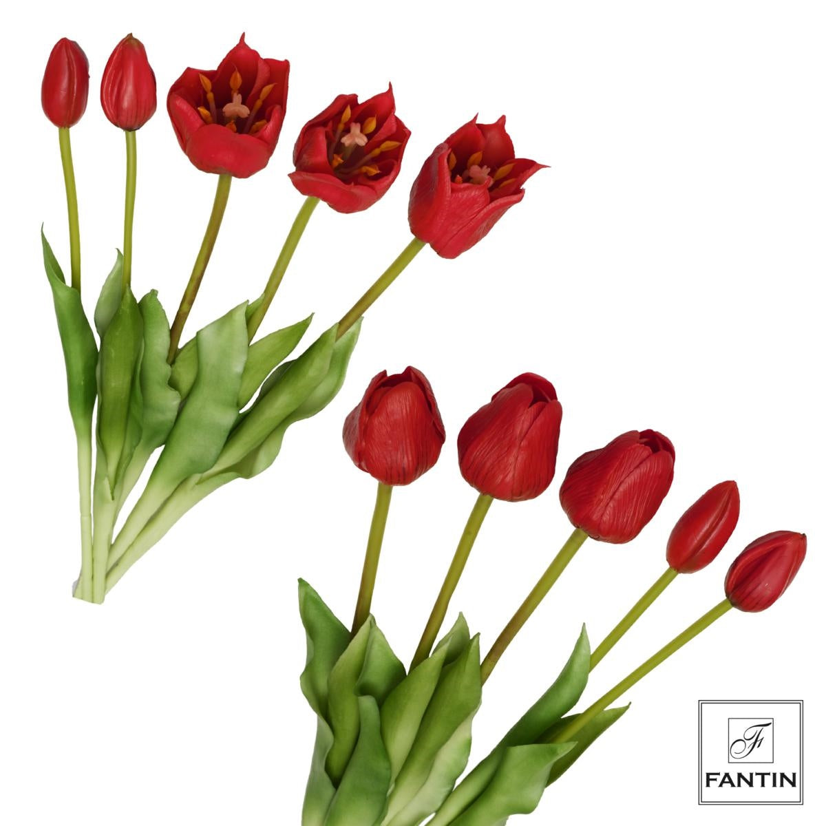 MAZZO TULIPANI ROSSO BOCCIOLI GRANDI - Fantin Argenti