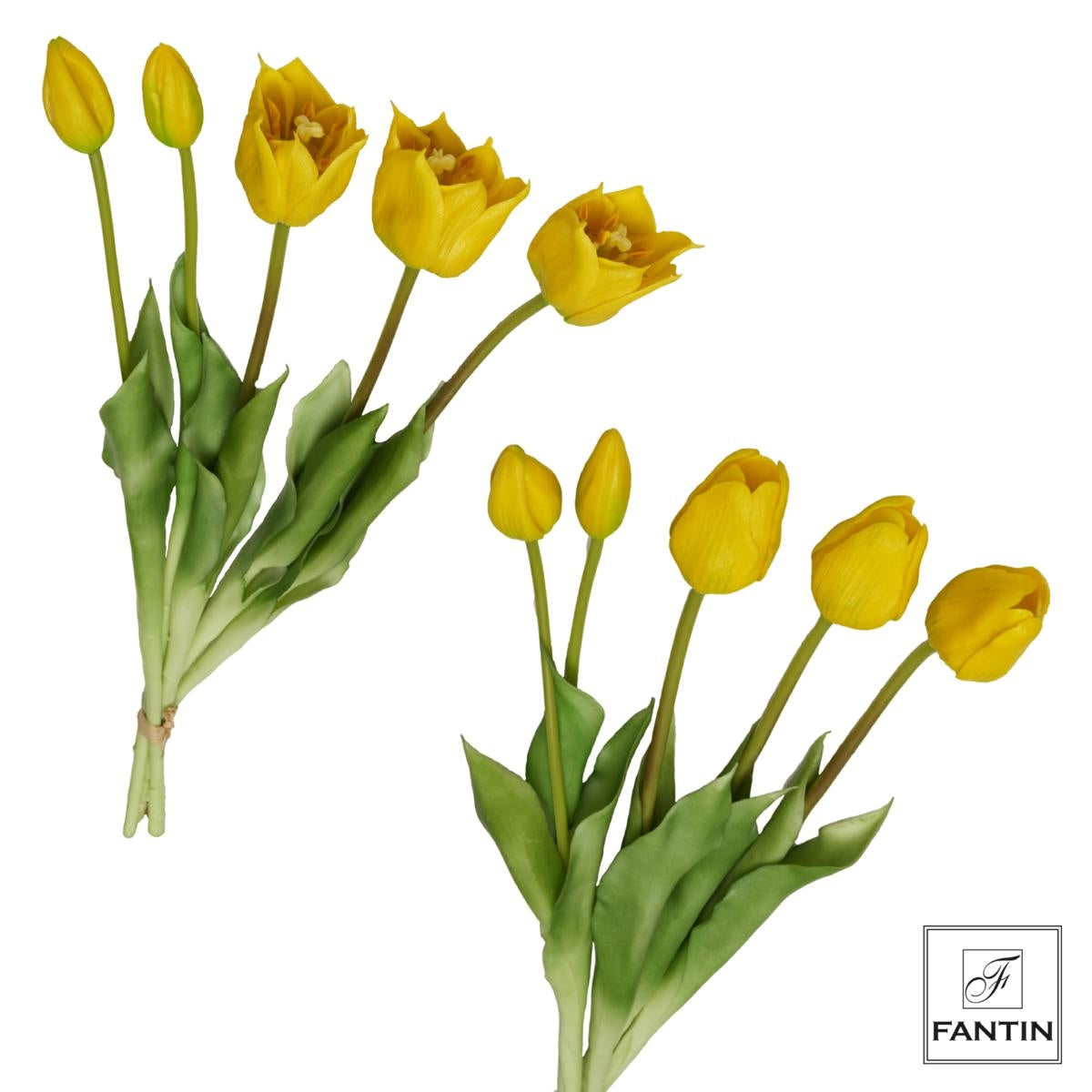 MAZZO TULIPANI GIALLI BOCCIOLI GRANDI - Fantin Argenti