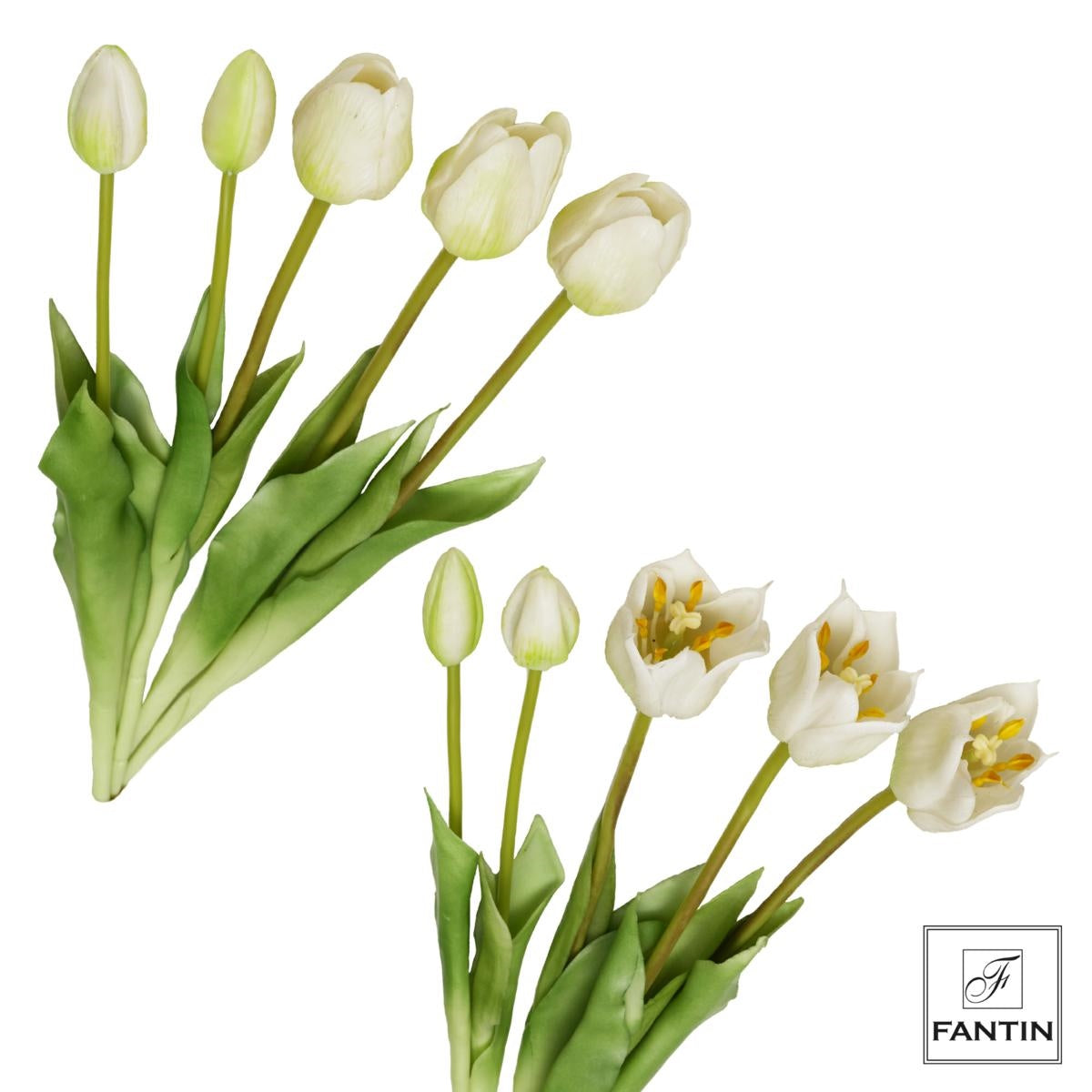 MAZZO TULIPANI BIANCHI BOCCIOLI GRANDI - Fantin Argenti