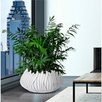 CACHEPOT DECORATIVO 'HONDURAS' - Mauro Ferretti