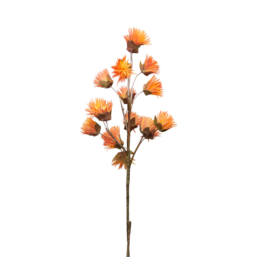 CRISANTEMO ARANCIONE - Henriette