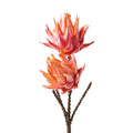 DOPPIA PROTEA PINK - Henriette