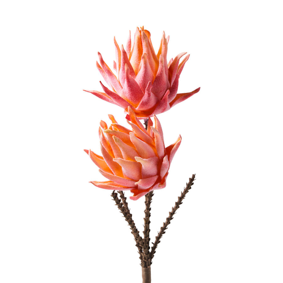 DOPPIA PROTEA PINK - Henriette