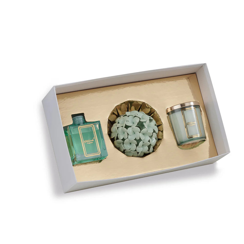 BOX REGALO ORTENSIA VERDE SALVIA - Melaverde