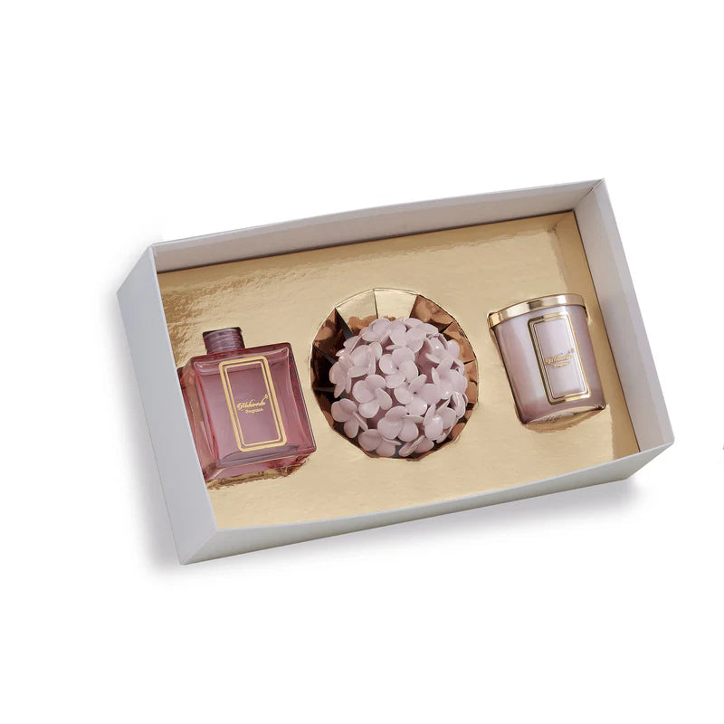 BOX REGALO ORTENSIA ROSA - Melaverde