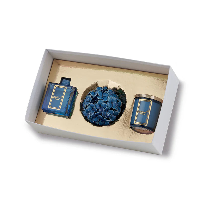 BOX REGALO ORTENSIA BLU - Melaverde