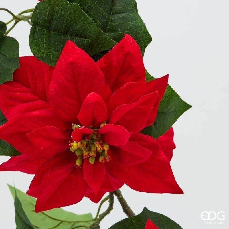 FESTONE STELLA DI NATALE - EDG Enzo De Gasperi