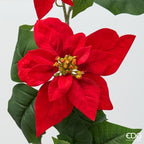 FESTONE STELLA DI NATALE - EDG Enzo De Gasperi