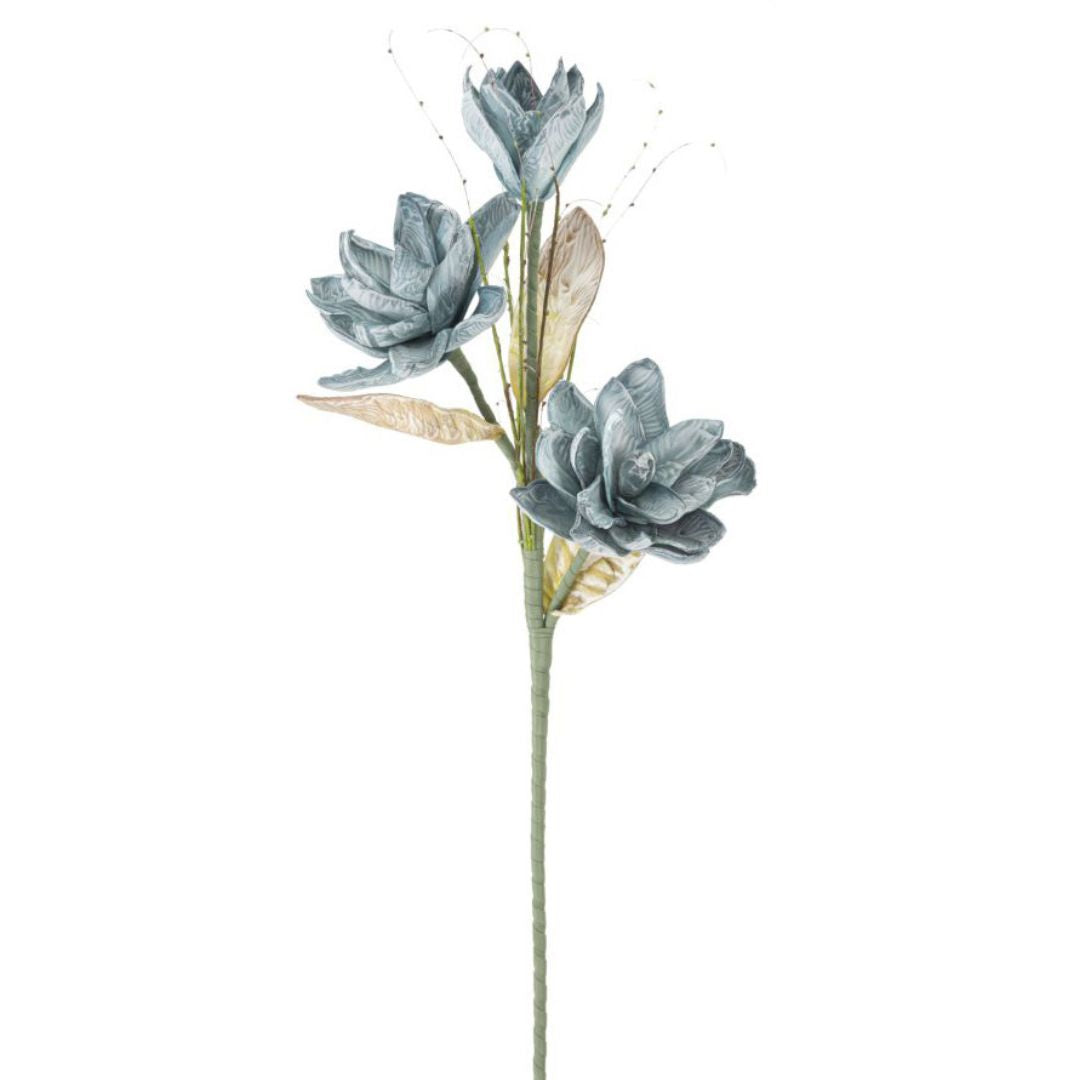 MAGNOLIA BLU 3x BOCCIOLI - Mauro Ferretti