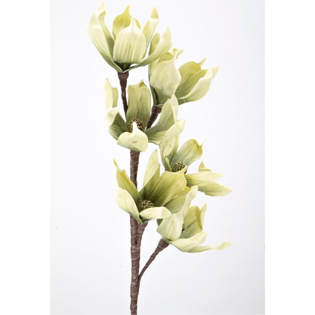 MAGNOLIA SPRAY - Mauro Ferretti